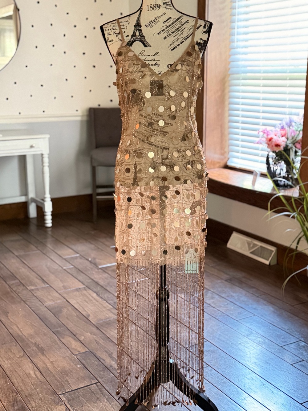 Nasty Gal Champagne Sequin Fringe Sheer Dress